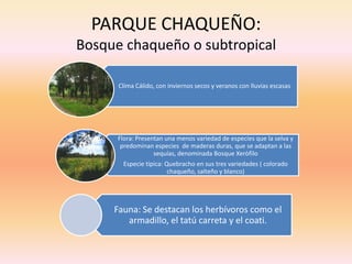 PARQUE CHAQUEÑO:Bosque chaqueño o subtropical