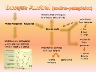 BosqueAustral (andino-patagónico)Recursos madereros para la industria del AserradoArboles de hoja caducasAndes Patagónico - fueguinosFormado porBosque mixto Ñire
