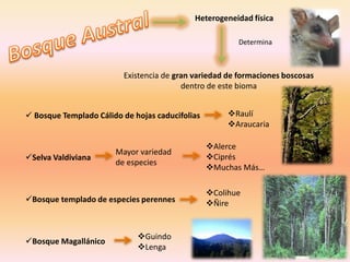  LengaArboles de hojas perennesHábitat natural del huemul y otras especies exóticas como el Jabalí y el CiervoImportantes destinos turísticos del país Pehuén