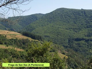 Fraga de San Xes (A Pontenova) 