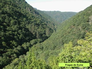 Fragas do Eume 