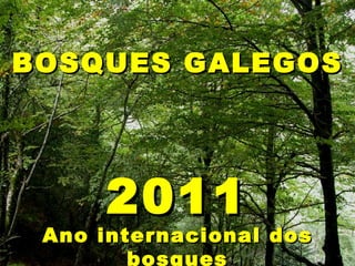 2011 Ano internacional dos bosques BOSQUES GALEGOS 
