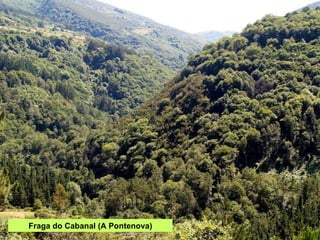 Fraga do Cabanal (A Pontenova) 