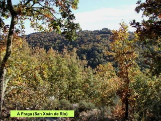 A Fraga (San Xoán de Río) 