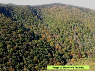 Fraga da Marronda (Baleira) 