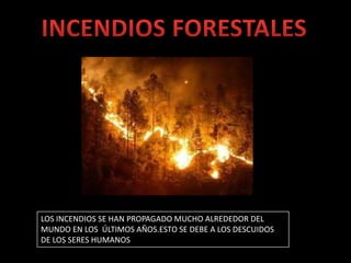 LOS INCENDIOS SE HAN PROPAGADO MUCHO ALREDEDOR DEL
MUNDO EN LOS ÚLTIMOS AÑOS.ESTO SE DEBE A LOS DESCUIDOS
DE LOS SERES HUMANOS
 