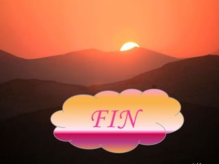 FIN
 