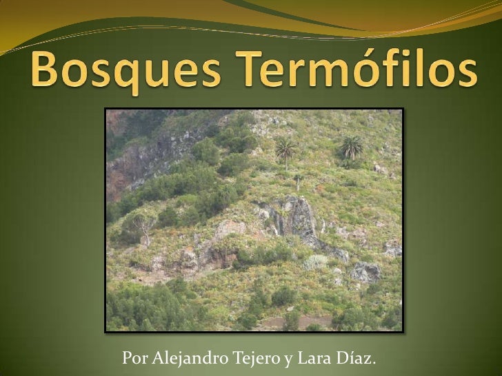 Bosques TermóFilos