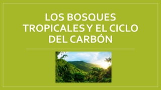 LOS BOSQUES
TROPICALESY EL CICLO
DEL CARBÓN
 