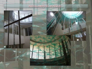 INSTALANDO EL BOSQUE… 