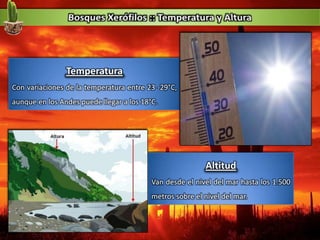 Temperatura
Con variaciones de la temperatura entre 23 -29°C,
aunque en los Andes puede llegar a los 18°C.
Altitud
Van desde el nivel del mar hasta los 1.500
metros sobre el nivel del mar.
 