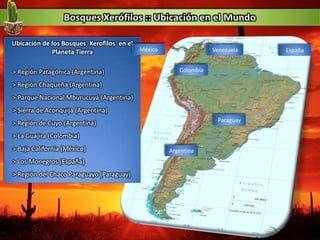 Ubicación de los Bosques Xerofilos en el
Planeta Tierra
> Región Patagónica (Argentina)
> Región Chaqueña (Argentina)
> Parque Nacional Mburucuyá (Argentina)
> Sierra de Aconquija (Argentina)
> Región de Cuyo (Argentina)
> La Guajira (Colombia)
> Baja California (México)
> Los Monegros (España)
> Región del Chaco Paraguayo (Paraguay)
Paraguay
Argentina
Colombia
EspañaMéxico Venezuela
 