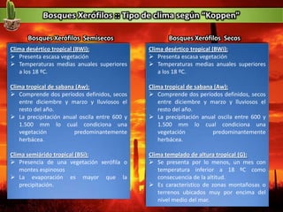 Clima desértico tropical (BWi):
 Presenta escasa vegetación
 Temperaturas medias anuales superiores
a los 18 ºC.
Clima tropical de sabana (Aw):
 Comprende dos períodos definidos, secos
entre diciembre y marzo y lluviosos el
resto del año.
 La precipitación anual oscila entre 600 y
1.500 mm lo cual condiciona una
vegetación predominantemente
herbácea.
Clima semiárido tropical (BSi):
 Presencia de una vegetación xerófila o
montes espinosos
 La evaporación es mayor que la
precipitación.
Clima desértico tropical (BWi):
 Presenta escasa vegetación
 Temperaturas medias anuales superiores
a los 18 ºC.
Clima tropical de sabana (Aw):
 Comprende dos períodos definidos, secos
entre diciembre y marzo y lluviosos el
resto del año.
 La precipitación anual oscila entre 600 y
1.500 mm lo cual condiciona una
vegetación predominantemente
herbácea.
Clima templado de altura tropical (G):
 Se presenta por lo menos, un mes con
temperatura inferior a 18 ºC como
consecuencia de la altitud.
 Es característico de zonas montañosas o
terrenos ubicados muy por encima del
nivel medio del mar.
Bosques Xerófilos SecosBosques Xerófilos Semisecos
 