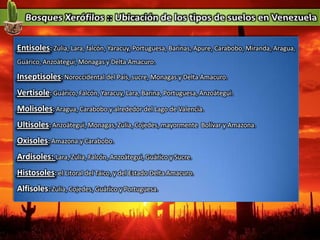 Entisoles: Zulia, Lara, falcón, Yaracuy, Portuguesa, Barinas, Apure, Carabobo, Miranda, Aragua,
Guárico, Anzoátegui, Monagas y Delta Amacuro.
Inseptisoles: Noroccidental del País, sucre, Monagas y Delta Amacuro.
Vertisole: Guárico, Falcón, Yaracuy, Lara, Barina, Portuguesa, Anzoátegui.
Molisoles: Aragua, Carabobo y alrededor del Lago de Valencia.
Ultisoles: Anzoátegui, Monagas, Zulia, Cojedes, mayormente Bolívar y Amazona.
Oxisoles: Amazona y Carabobo.
Ardisoles: Lara, Zulia, Falcón, Anzoátegui, Guárico y Sucre.
Histosoles: el Litoral del Taico, y del Estado Delta Amacuro.
Alfisoles: Zulia, Cojedes, Guárico y Portuguesa.
 