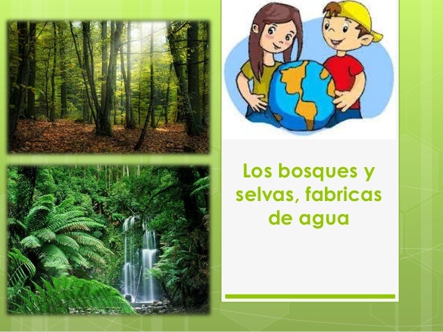 Featured image of post Imagenes De Selvas Y Bosques