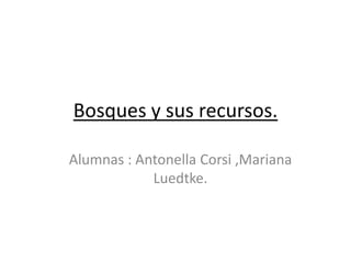 Bosques y sus recursos. Alumnas : Antonella Corsi ,Mariana Luedtke. 