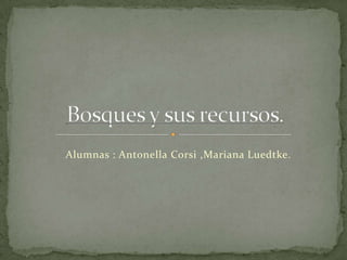 Alumnas : Antonella Corsi ,Mariana Luedtke. Bosques y sus recursos. 