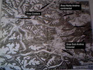 Área Norte Andina
               continental

Área Costera




                    Área Sub Andina
                    Oriental
 