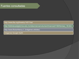 Fuentes consultadas




  http://www.fao.org/forestry/14011/es/

  http://bibliotecadigital.ilce.edu.mx/sites/ciencia/volumen3/ciencia3/146/htm/sec_16.htm

  http://www.florachilena.cl (imágenes arboles)
  Imágenes Google Earth
 