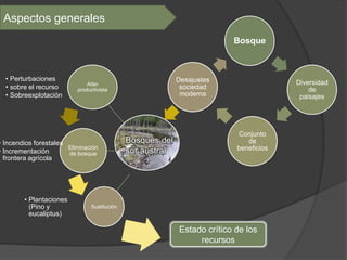 Aspectos generales
                                                                          Bosque



  • Perturbaciones                                          Desajustes
                               Afán                                                     Diversidad
  • sobre el recurso       productivista                     sociedad                       de
  • Sobreexplotación                                         moderna                     paisajes




                                                                           Conjunto
• Incendios forestales                        Bosques del                     de
                       Eliminación                                         beneficios
• Incrementación       de bosque              sur austral
  frontera agrícola




        • Plantaciones
          (Pino y               Sustitución
          eucaliptus)

                                                            Estado crítico de los
                                                                 recursos
 