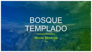 BOSQUE
TEMPLADO
Nicole Montoya
C06A
 
