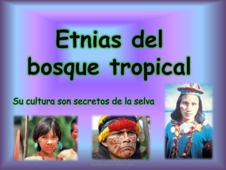 Etnias del bosque tropical<br />Su cultura son secretos de la selva<br />Grupo Bosque Tropical;  Unidad Educativa Martim C...