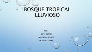 BOSQUE TROPICAL
LLUVIOSO
POR:
-SOFIA CORREA
-VALENTINA BERMEO
-AUGUSTO TOVAR
 