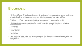 Biocenosis
• Niveles tróficos: El conjunto de seres vivos de un mismo ecosistema que obtienen
la materia y la energía de un modo semejante se denomina nivel trófico
• Productores: Son los seres autótrofos plantas algas y algunas bacterias
• Consumidores: Seres heterótrofos como animales hongos y algunas bacterias
• -primarios
• -secundarios
• -terciarios
• Descomponedores: Son bacterias y hongos que descomponen restos organicos e
inorgánicos
 