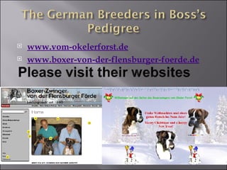 www.vom-okelerforst.de   www.boxer-von-der-flensburger-foerde.de   
