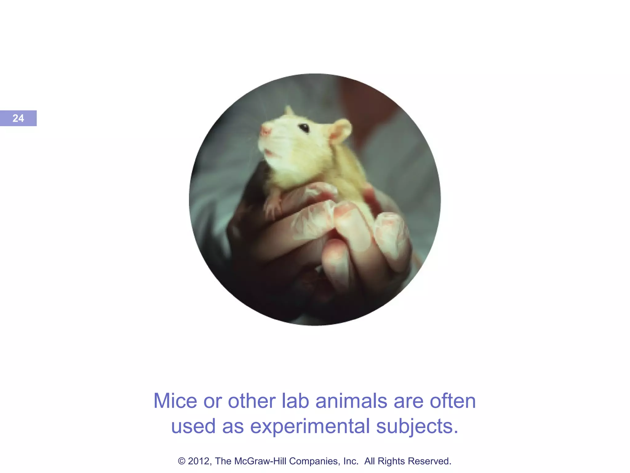 Mice or other lab animals are often
used as experimental subjects.
24
© 2012, The McGraw-Hill Companies, Inc. All Rights Reserved.
 