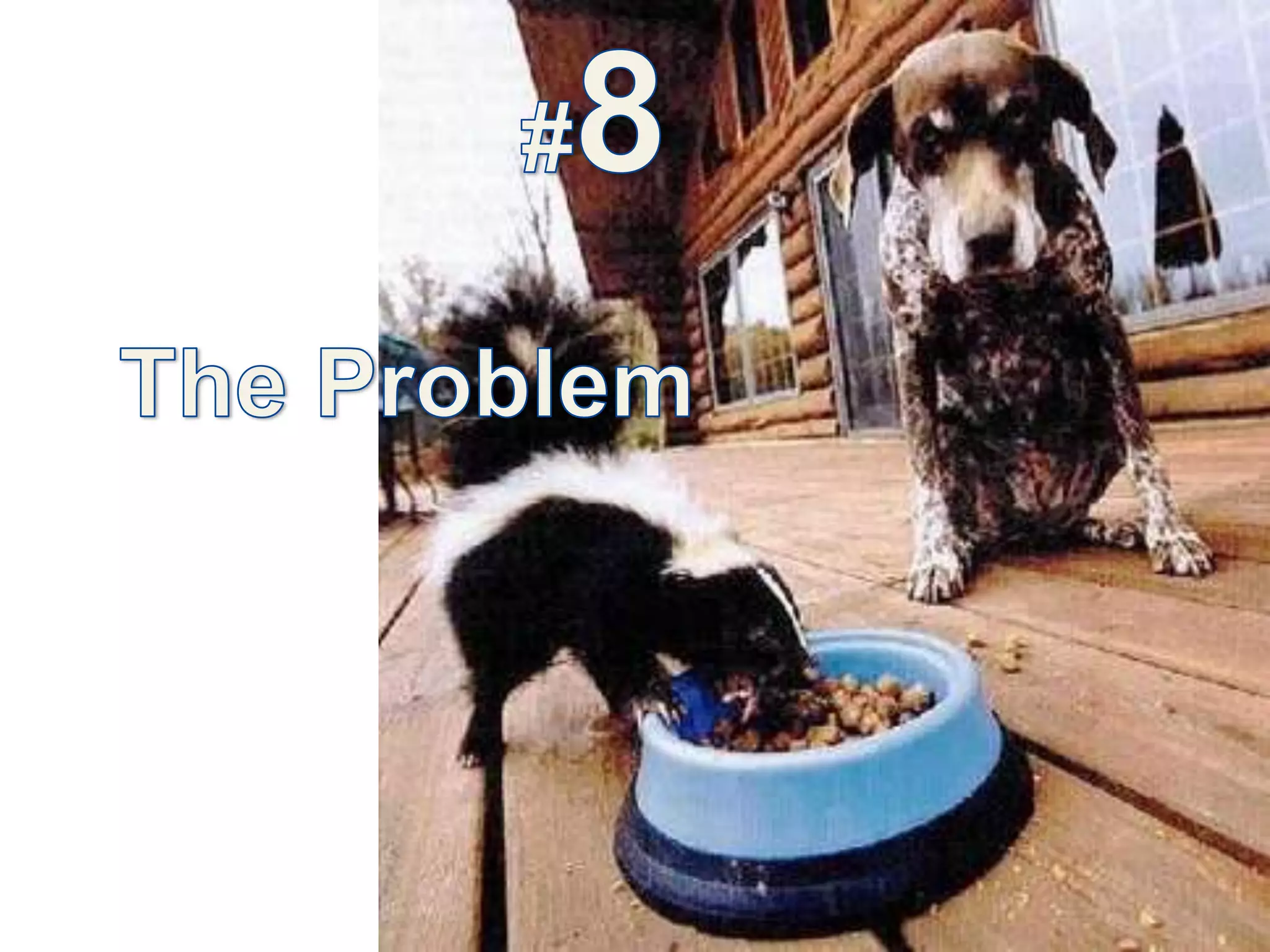 #8  The Problem2