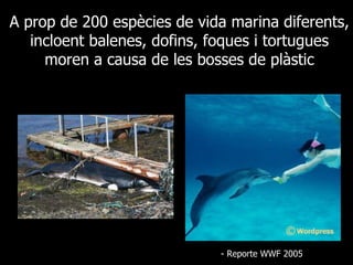 A prop de 200 espècies de vida marina diferents, incloent balenes, dofins, foques i tortugues moren a causa de les bosses de plàstic - Reporte WWF 2005 