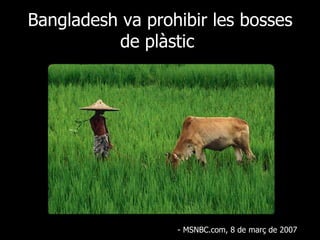Bangladesh va prohibir les bosses de plàstic  - MSNBC.com, 8 de març de 2007 