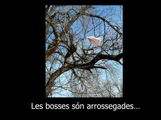 Les bosses són arrossegades… 