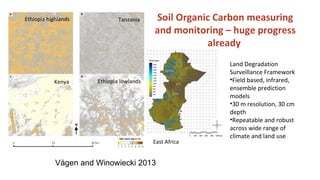 Soil Organic Matter for Climate Change Mitigation: Boon or Bane for Food Security