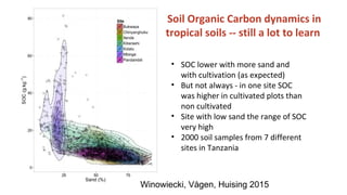 Soil Organic Matter for Climate Change Mitigation: Boon or Bane for Food Security