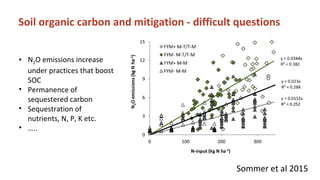 Soil Organic Matter for Climate Change Mitigation: Boon or Bane for Food Security