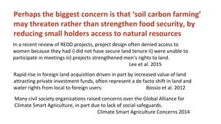 Soil Organic Matter for Climate Change Mitigation: Boon or Bane for Food Security