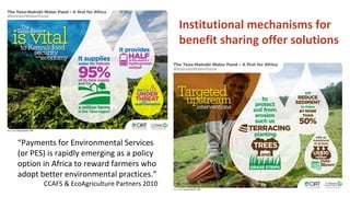 Soil Organic Matter for Climate Change Mitigation: Boon or Bane for Food Security