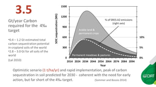 Soil Organic Matter for Climate Change Mitigation: Boon or Bane for Food Security