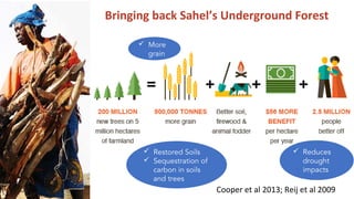 Soil Organic Matter for Climate Change Mitigation: Boon or Bane for Food Security