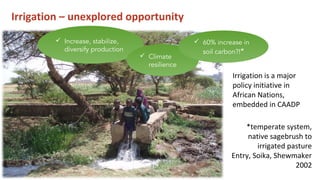 Soil Organic Matter for Climate Change Mitigation: Boon or Bane for Food Security