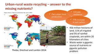 Bossio  rcp_unccd_cop12_20_oct_2015(2)