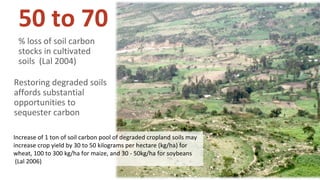 Bossio  rcp_unccd_cop12_20_oct_2015(2)