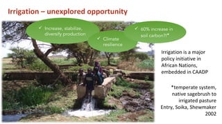 Bossio  rcp_unccd_cop12_20_oct_2015(2)