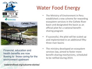 Transforming global landscapes