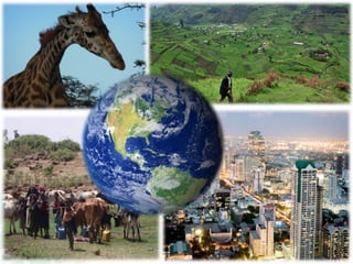 Transforming global landscapes