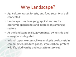 Transforming global landscapes