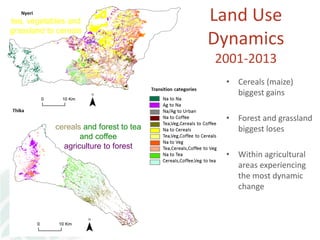 Transforming global landscapes