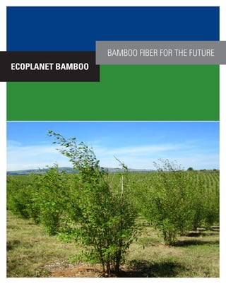 EcoPlanet Bamboo
Bamboo Fiber for the FuturE
 